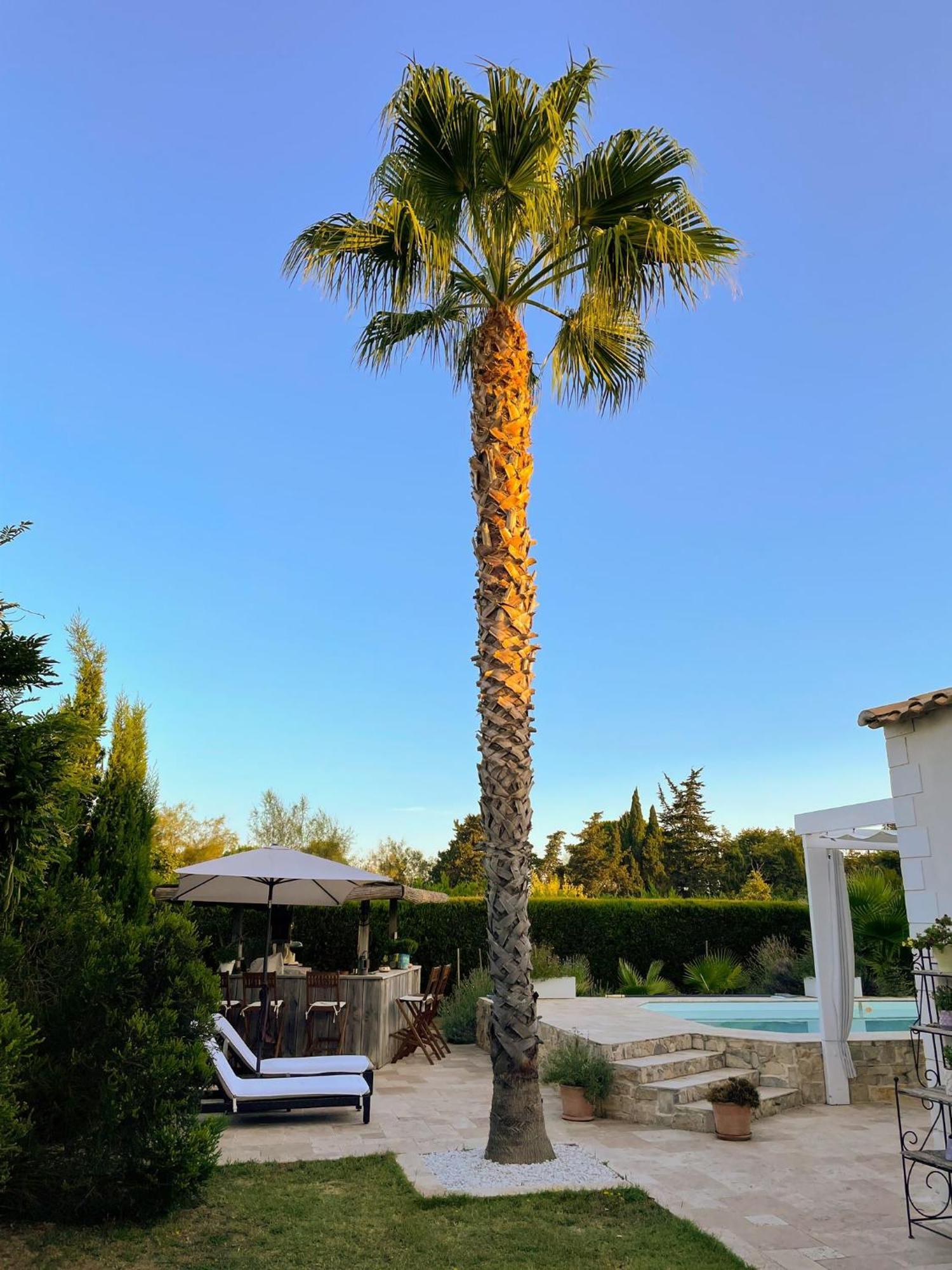 Aigues Marines Bed and Breakfast Exteriör bild